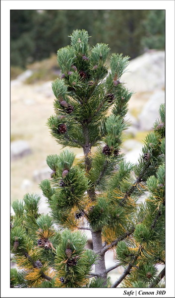 Sept 06 Tarbes - Ballade gaubie 20